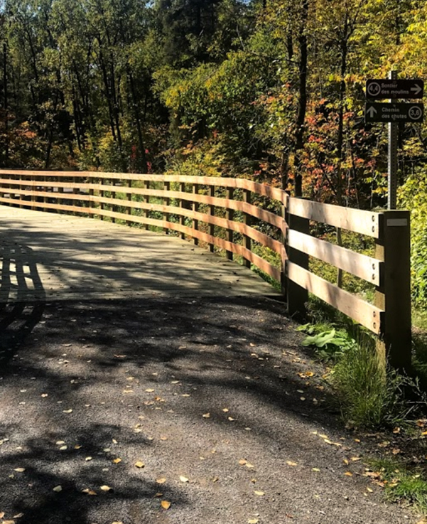 Parc de la Rivière-du-Moulin